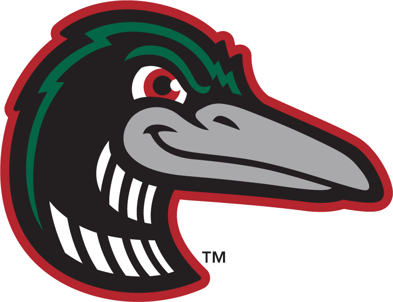 Great Lakes Loons 2016-Pres Alternate Logo 3 decal supplier